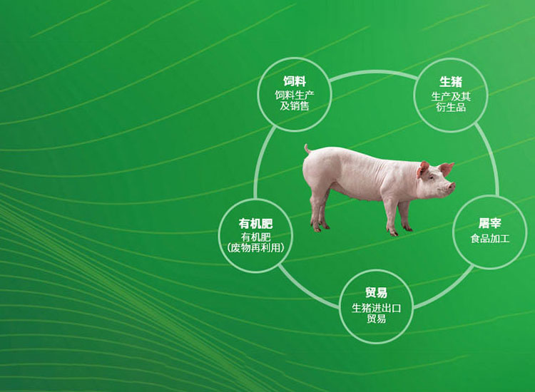 欧宝体育全站app