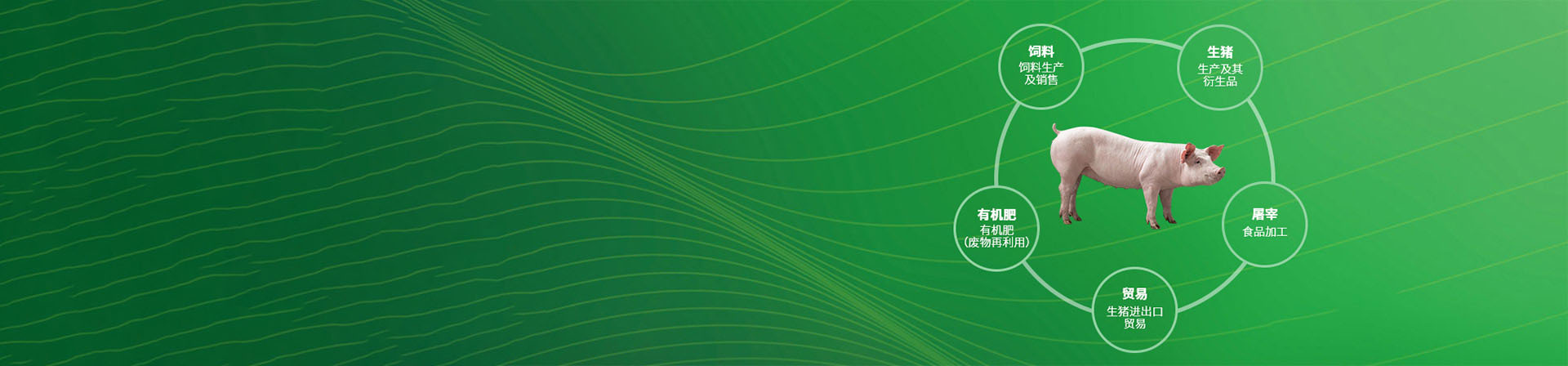 欧宝软件客户端下载